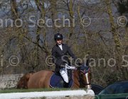 Del Signore Lordiana TosTour 2013- S5 3352 : Arezzo Equestrian Centre, Del Signore Michol, Lordiana, Toscana Tour 2013, foto di Stefano Secchi ©